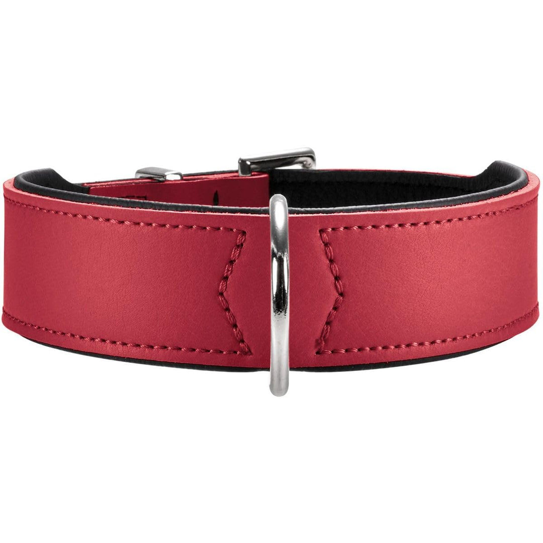 HUNTER BASIC Hundehalsband, beschichtetes Spaltleder, Kunstleder, schlicht, robust, witterungsbestän