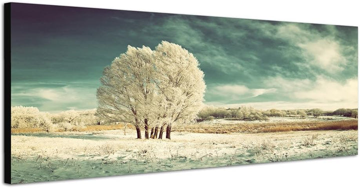 Paul Sinus Art Panoramabild auf Leinwand und Keilrahmen 150x50cm Winterlandschaft Wiese Baum Schnee