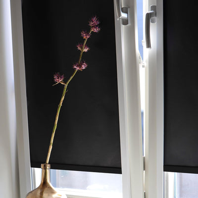 Sol Royal Kassettenrollo mit Führungsschiene SolReflect K24 60x175 cm Schwarz - Blackout Thermorollo