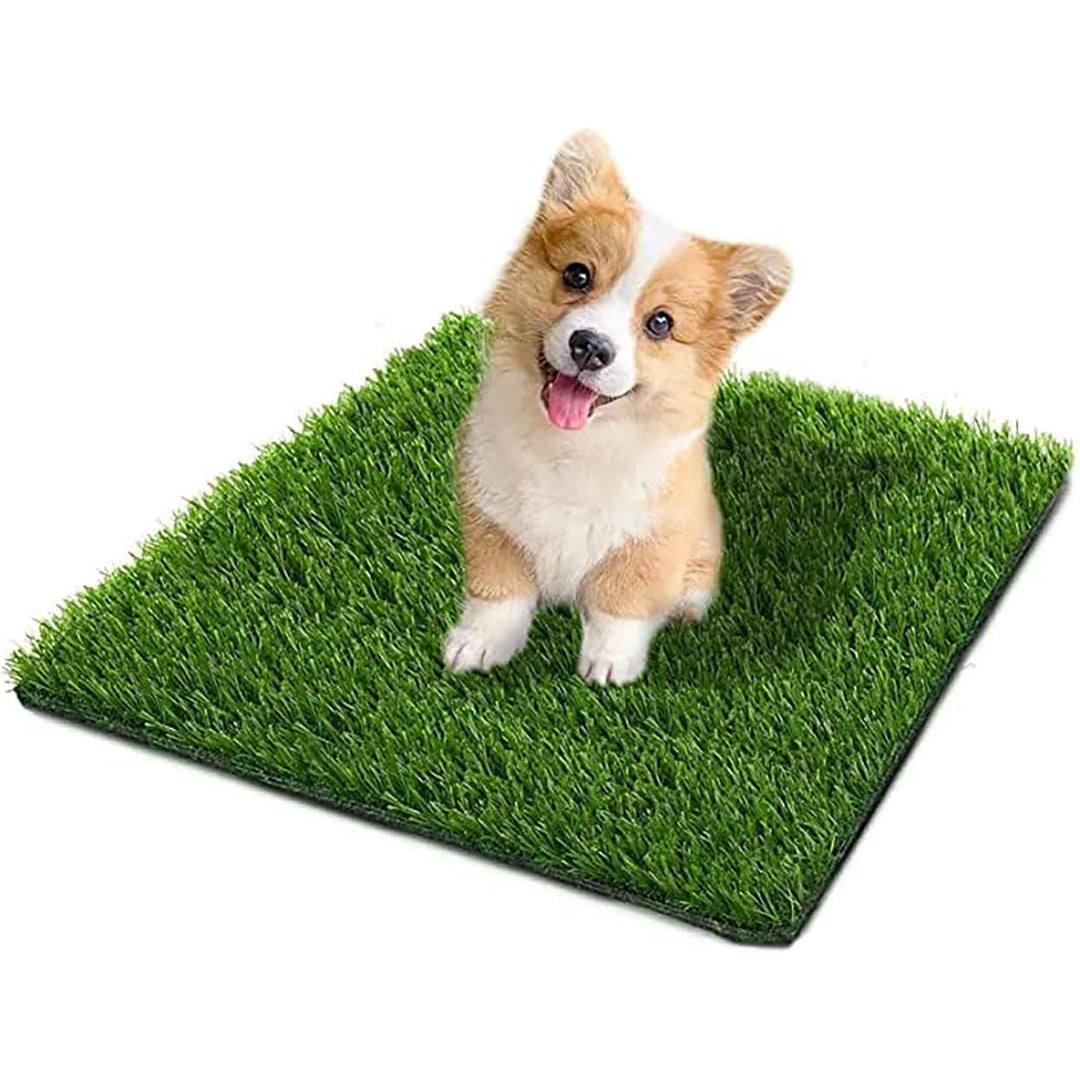 50*60CM Hundeklo für Zuhause &amp; Hundetoilette Balkon Welpen Training Hundetoilette Ersatzrasen mit Ku