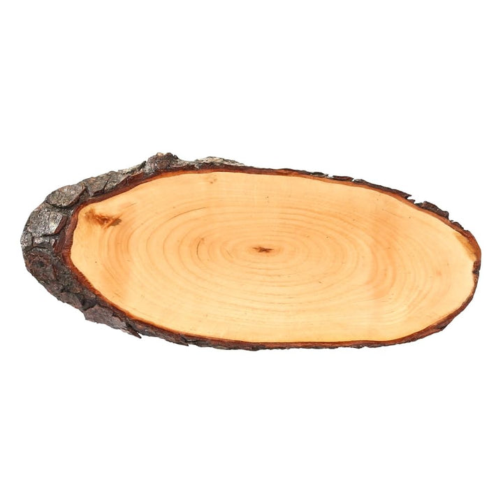 Bütic Holzscheibe Esche oval lackiert B-Ware - Rindenscheibe Baumscheibe Holzbrett ca. 60 x 20 cm, c