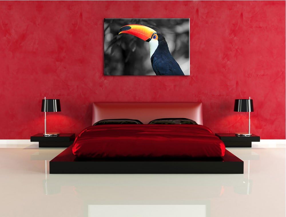 prächtiger Tukan schwarz/weiss Format: 100x70 auf Leinwand, XXL riesige Bilder fertig gerahmt mit Ke