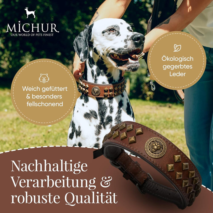 MICHUR Diego Braun 1. Wahl !! Hundehalsband Leder Lederhalsband Hund Halsband Löwenkopf Nieten Messi