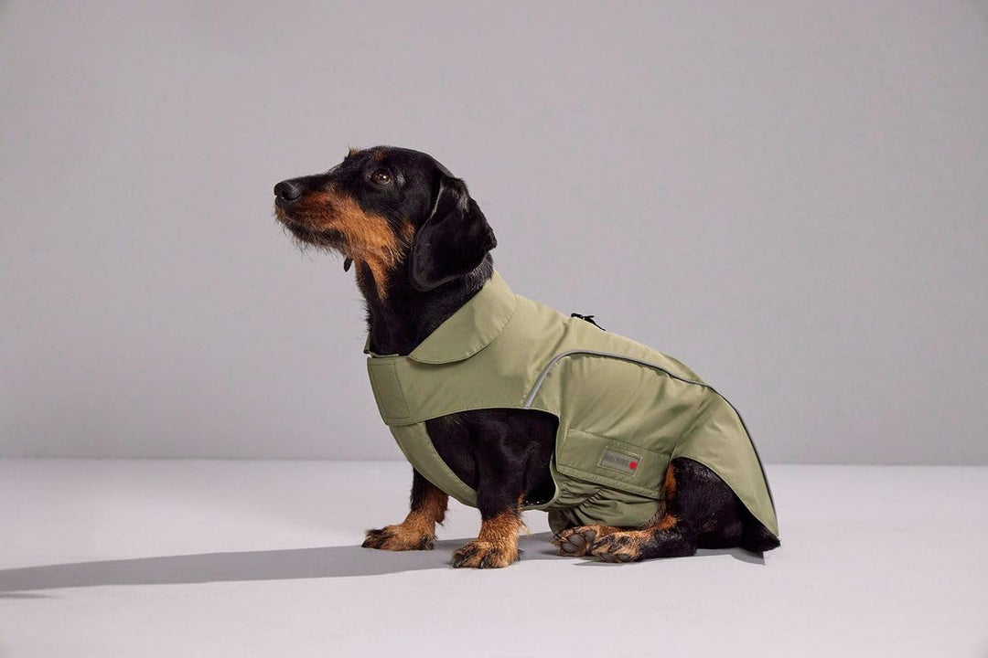 Wolters Cat &amp; Dog Wolters Regenjacke Easy Rain für Dackel., Grösse:38 cm, Farbe:mossgrün