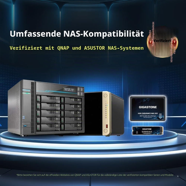 Gigastone Enterprise SSD 2TB NAS SSD Drive Cache 24/7 High Endurance Business Server Creative Profes