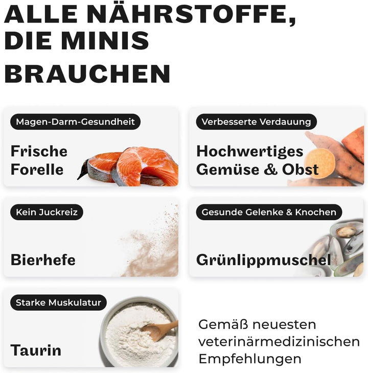 HEY HOLY – Marvelous Minis Trockenfutter für ausgewachsene Hunde mit 40% Forelle – 1er Pack (7kg) –