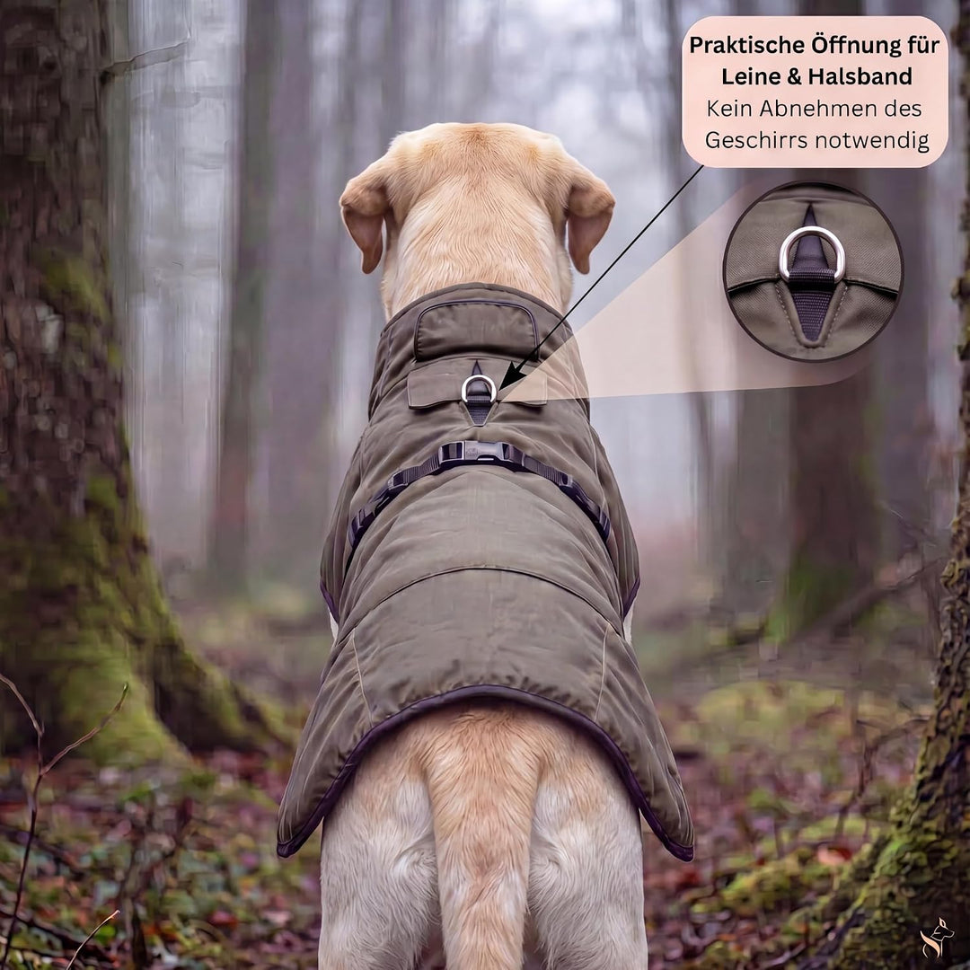 Regenmantel Hund wasserdicht mit Fleece-Futter – Hundemantel wasserdicht - Hundemantel warm - Regenm