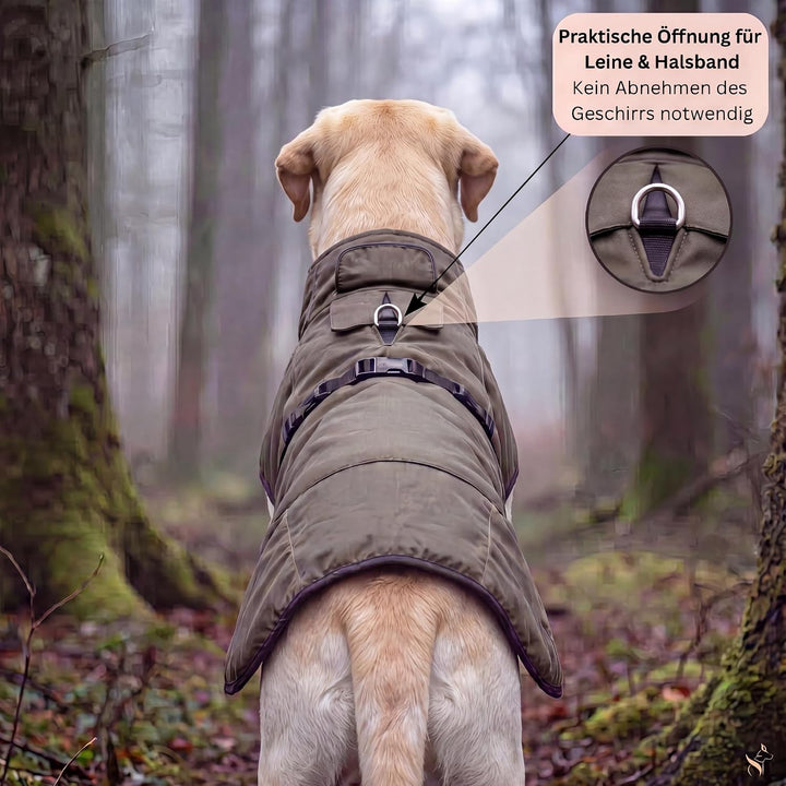 Regenmantel Hund wasserdicht mit Fleece-Futter – Hundemantel wasserdicht - Hundemantel warm - Regenm
