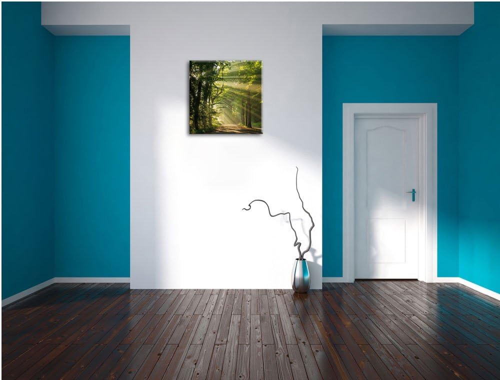 Pixxprint Sonniger Waldweg im Frühling, Format: 70x70 auf Leinwand, 70x70
