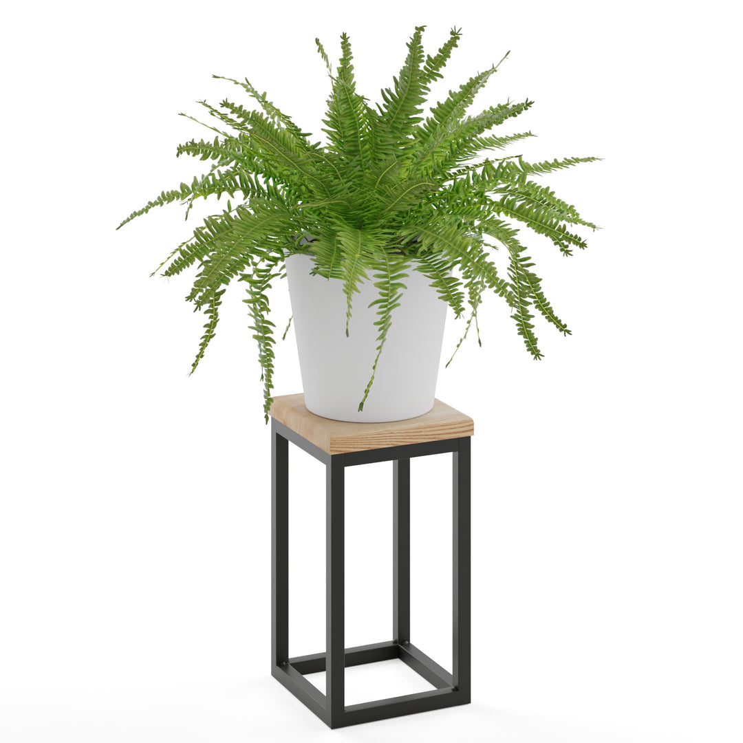 LAMO Manufaktur Blumenständer Metall Schwarz | Pflanzenständer Holz mit Natur Farbe | Blumenhocker k