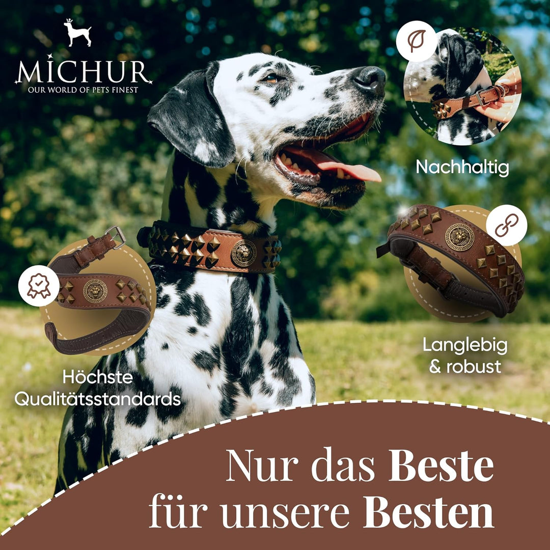 MICHUR Diego Braun 1. Wahl !! Hundehalsband Leder Lederhalsband Hund Halsband Löwenkopf Nieten Messi