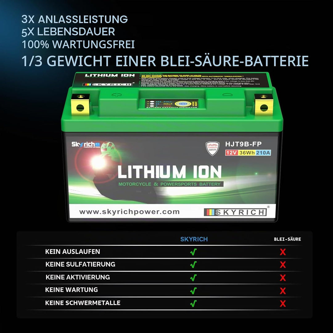 Skyrich HJT9B-FP Starterbatterie