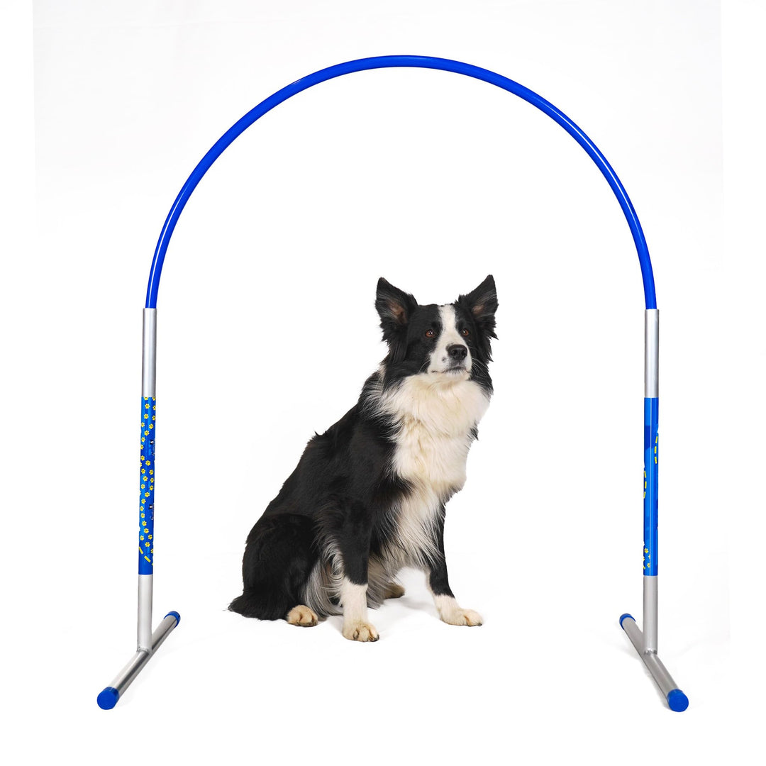 6 x Hoopers Agility Hoops - NADAC Hoopers Agility Hoops (Grosspackung) ALU Hoops (ohne Mittelstrebe)