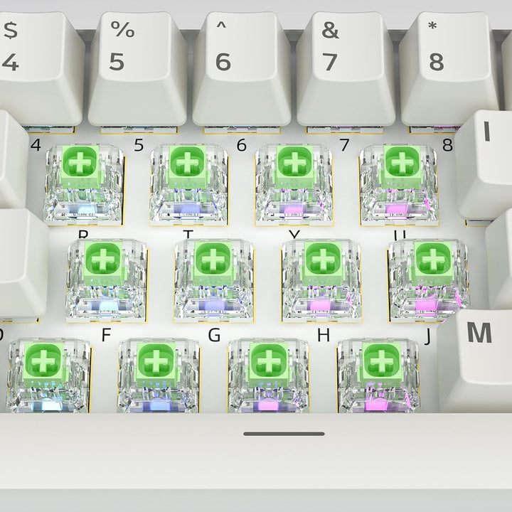 Zjmehty Kailh Box Jade Schalter für mechanische Gaming Tastatur,3-Pin 50gf Clicky/lubed/Dust&amp;Waterpr