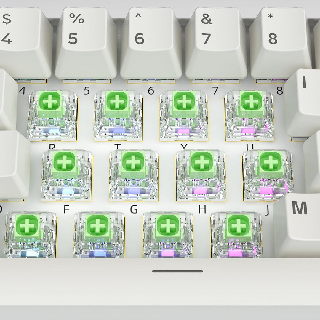 Zjmehty Kailh Box Jade Schalter für mechanische Gaming Tastatur,3-Pin 50gf Clicky/lubed/Dust&amp;Waterpr