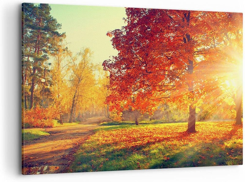 Bilder auf Leinwand 100x70cm Leinwandbild mit Rahmen Park Herbst Baum Gross Wanddeko Bild Schlafzimm