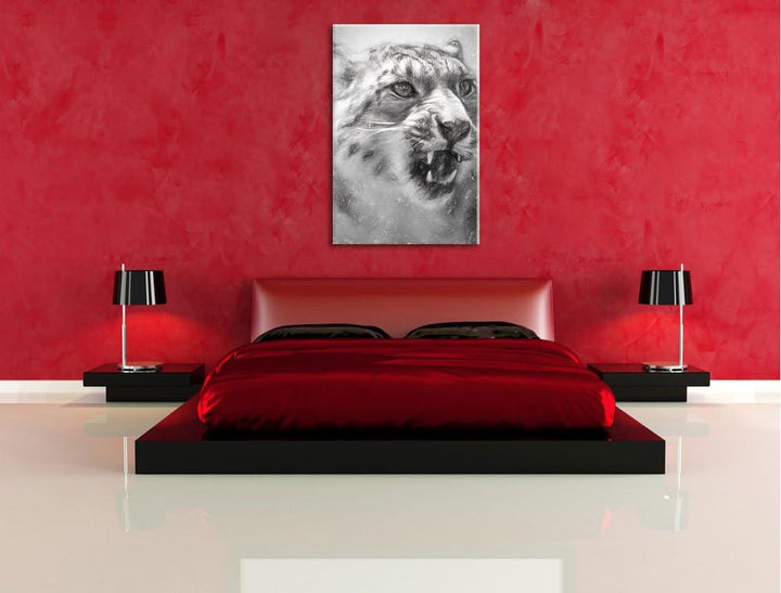 Schneeleopard zeigt Zähne Deluxe Format: 100x70 cm auf Leinwand, XXL riesige Bilder fertig gerahmt m