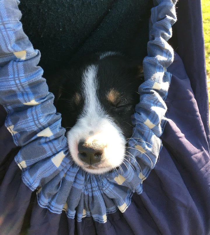 Hunde Tragetaschen, Tragetasche Katzen, Hundetragetasche Outdoor Tragetasche Hund (Blau Plaid) Blau