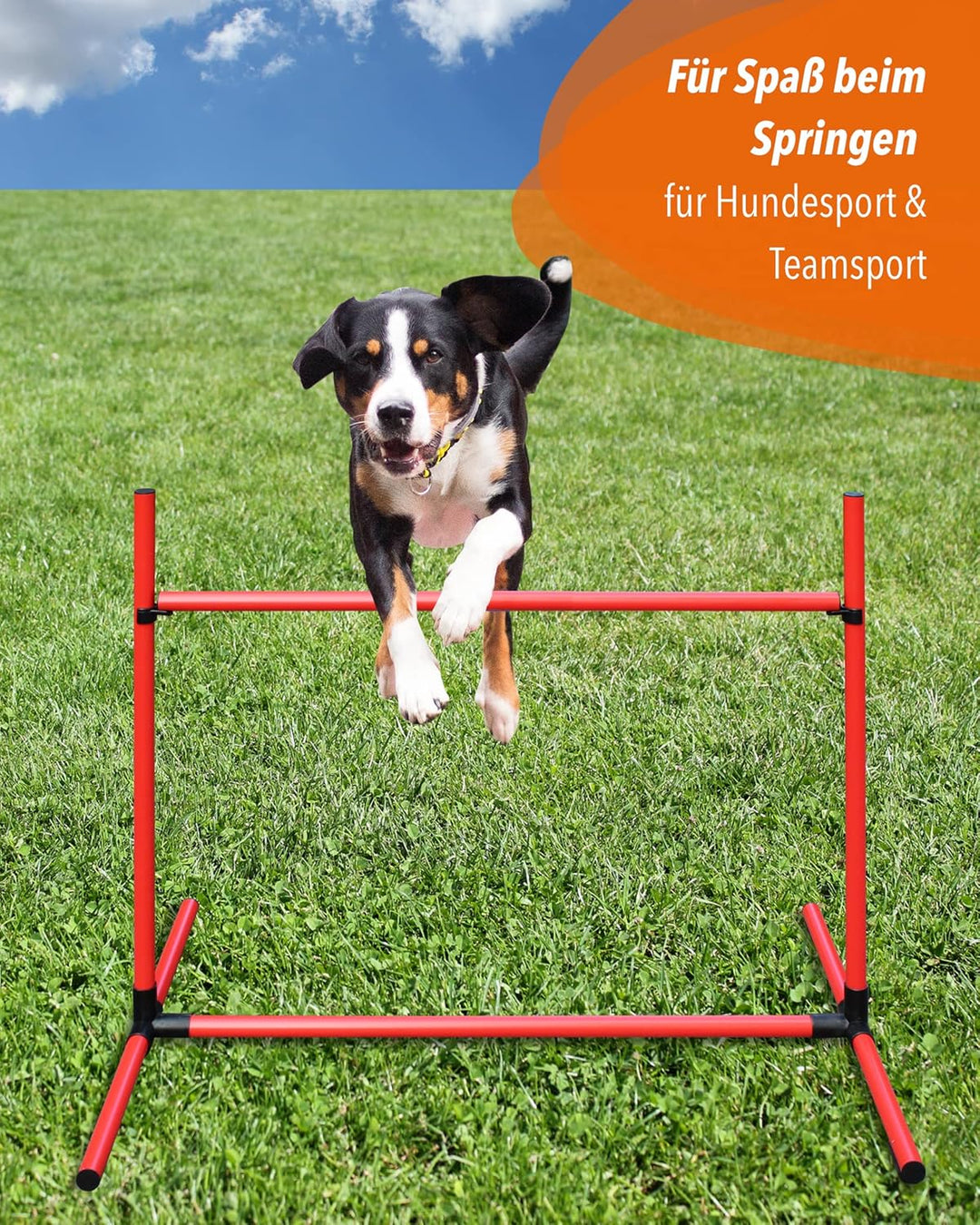 Sprunghürde aus Kunststoff – für Agility & Obedience – Parcours-Hindernis für Agility Training – Hür