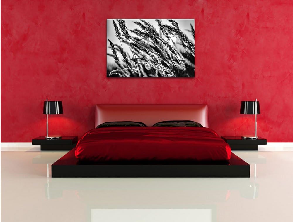 Pixxprint Schilf / 100x70cm Leinwandbild bespannt auf Holzrahmen/Wandbild Kunstdruck Dekoration, 100