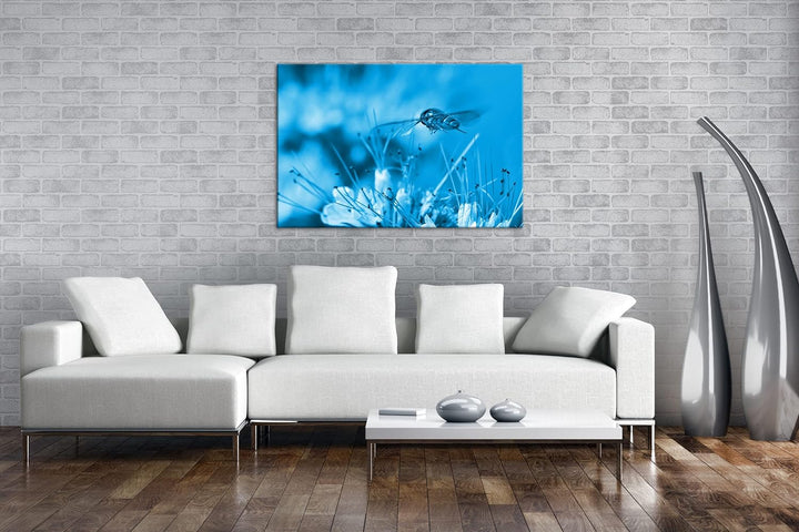 deyoli Insekt auf einer violetten Blume Format 80x60 Effekt: Monocrome Blau als Leinwandbild, Motiv
