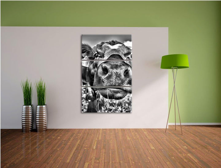 Pixxprint Monocrome, Süsse Alpen Kuh auf Bergwiese 3-Teiler Leinwandbild 120x80 Bild auf Leinwand