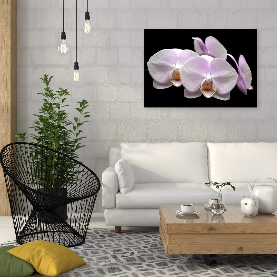 Feeby Wandbild Orchidee Druckbild Leinwandbild für Schlafzimmer Weiss 100x70 cm Leinwandbild 100x70