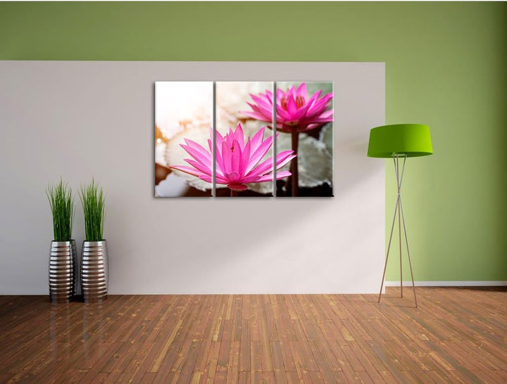 Pixxprint Lilafarbene Wasserlilie als Leinwandbild | Grösse: 3 Teilig (120x80) | Wandbild| Kunstdruc