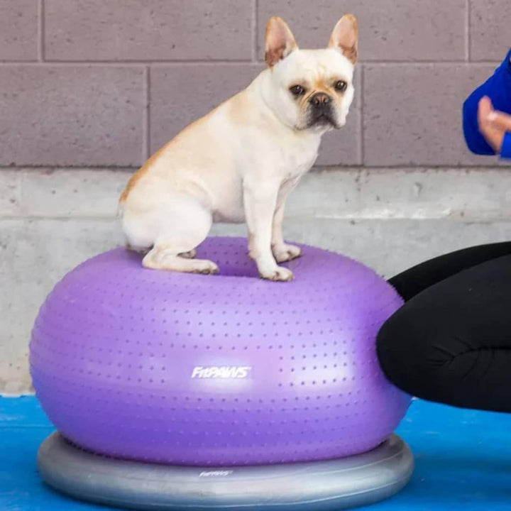 FitPAWS Traxdonut Hundetrainer, 1 Unité (Lot de 1)