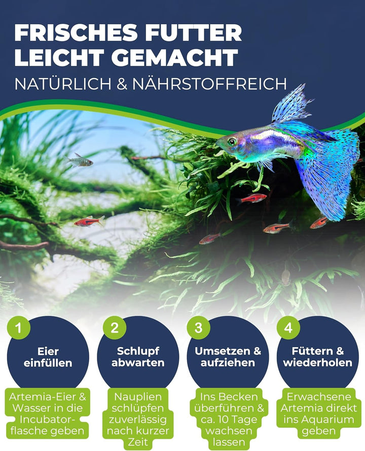 Hobby 21900 Artemia Incubator Set