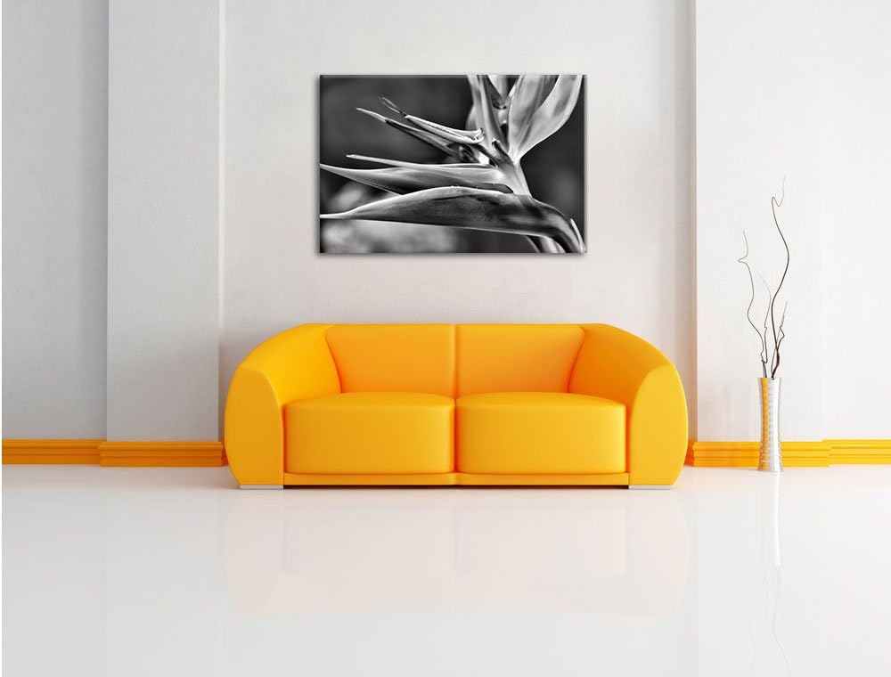 Pixxprint Tropische Blume / 100x70cm Leinwandbild bespannt auf Holzrahmen/Wandbild Kunstdruck Dekora