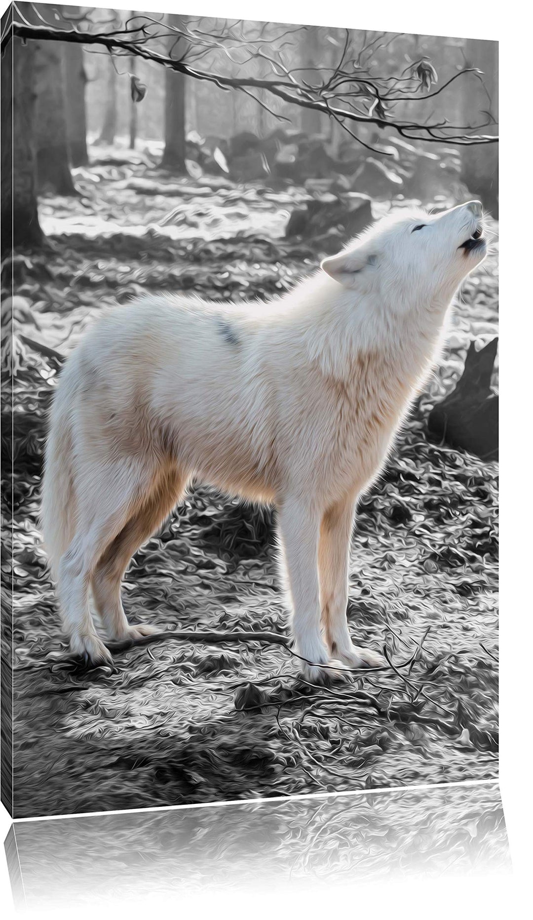 weisser jaulender Wolf im Wald schwarz/weiss Format: 100x70 auf Leinwand, XXL riesige Bilder fertig