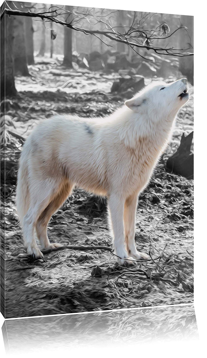 weisser jaulender Wolf im Wald schwarz/weiss Format: 100x70 auf Leinwand, XXL riesige Bilder fertig