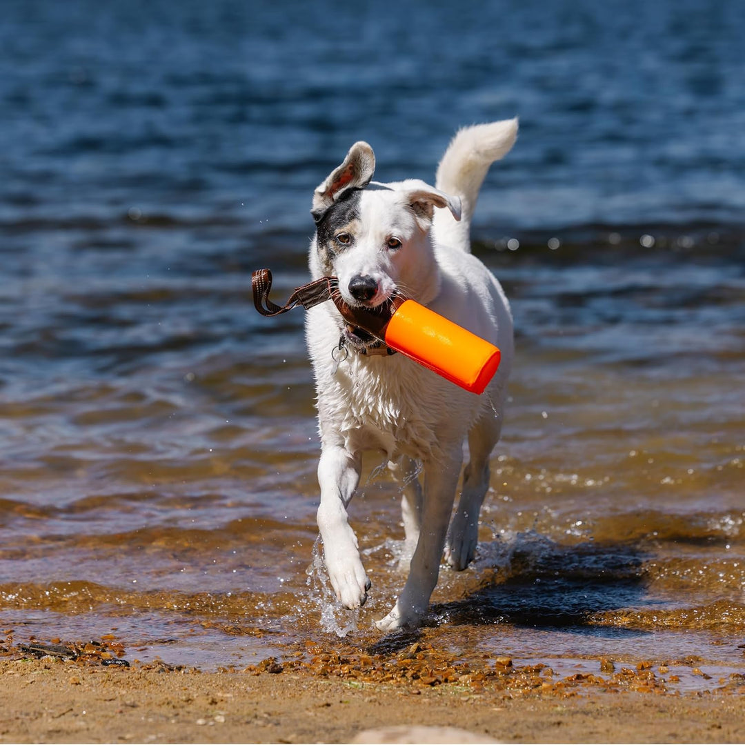 Carhartt Pet Pet Toys, Retrieving Bumper, Large, OS, Hunter Orange Large Hunter Orange, Large Hunter