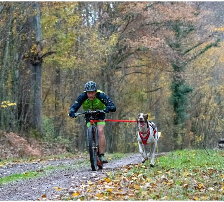 Inlandsis Canicross Wettkampfgeschirr Blizzard Beast XXL rot, XXL rot