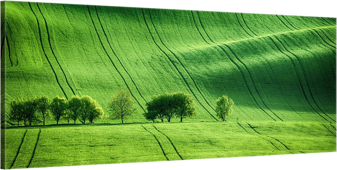 ge Bildet Bild auf Leinwand | Landschaftsbilder - green landscape - Tschechische Republik O in 100x4