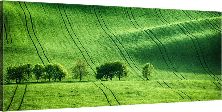 ge Bildet Bild auf Leinwand | Landschaftsbilder - green landscape - Tschechische Republik O in 100x4