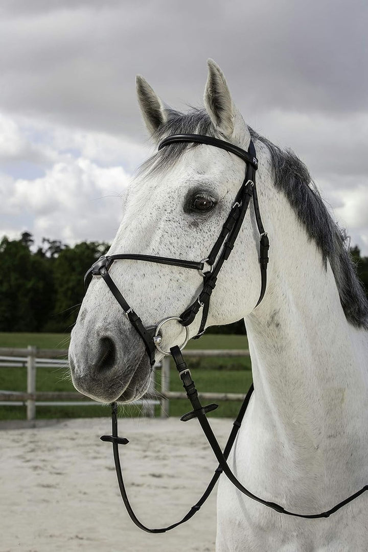 RIDING WORLD Trense Reithalfter gelbbraun Cob, gelbbraun Cob