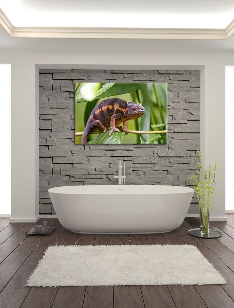 Pixxprint braunes Chamäleon auf Leinwand, XXL riesige Bilder fertig gerahmt mit Keilrahmen, Kunstdru