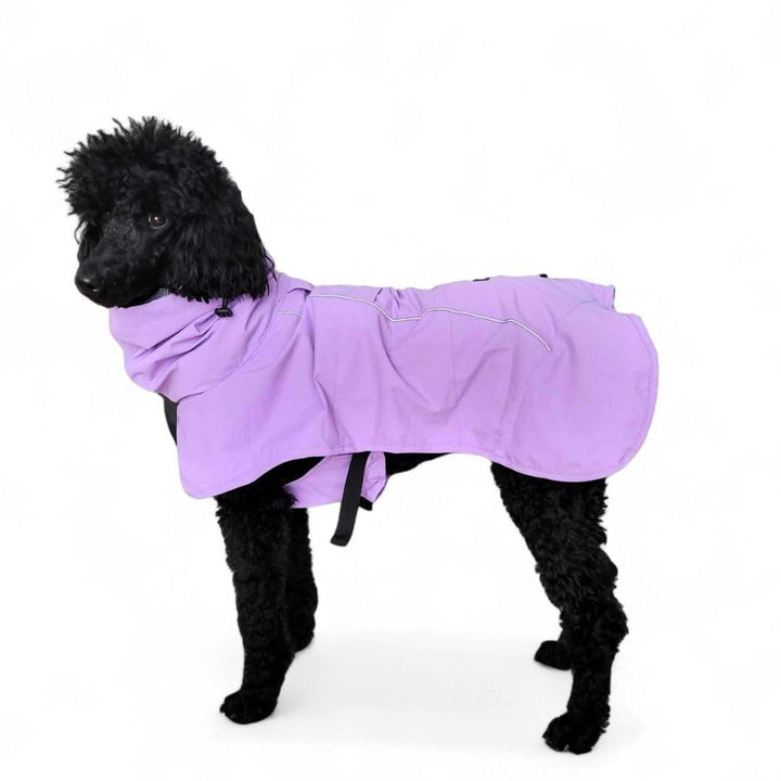 Spark Paws Hunderegenmantel, wasserdichte, Winddichte Regenjacke, für kleine, mittelgrosse, grosse u