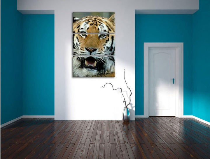 Pixxprint Tiger mit offenem Maul 3-Teiler Leinwandbild 120x80 Bild auf Leinwand