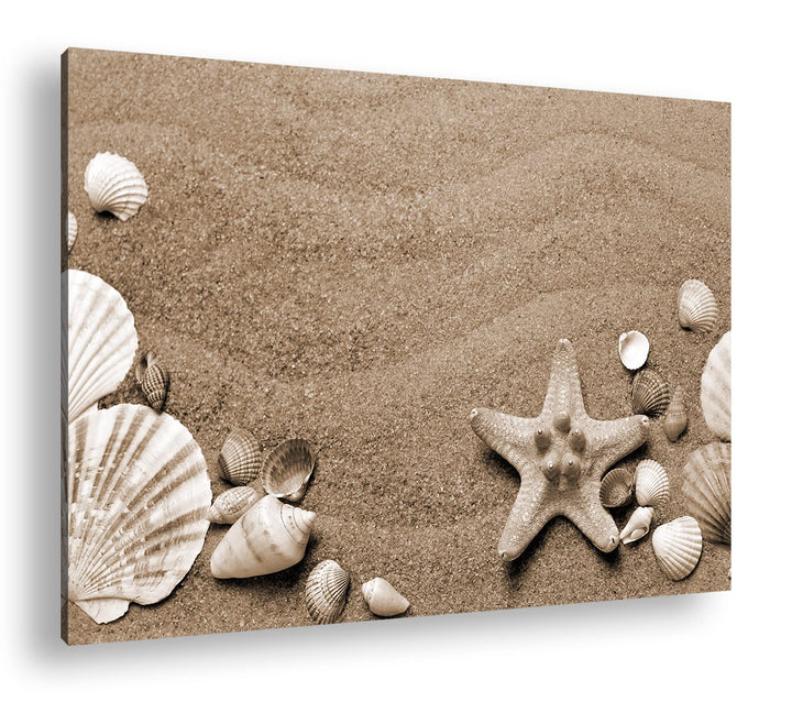 deyoli Gestrandete Muscheln zwischen feinem Sandstrand Format: 80x60 als Leinwand, Effekt: Sepia, Mo