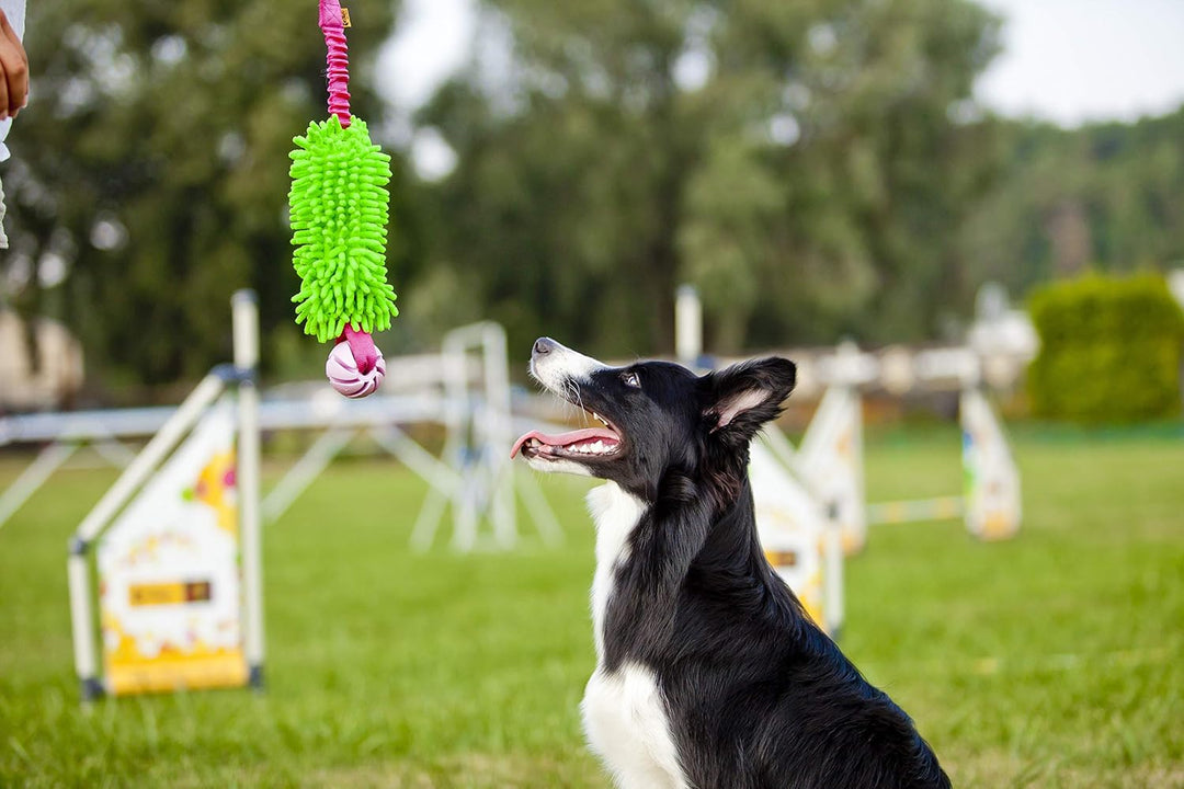 Dingo Mop Bungee Grün Mikrofaser mit Vanille Duft Ball Hundespielzeug Agility Apporte zum Spielen Ta