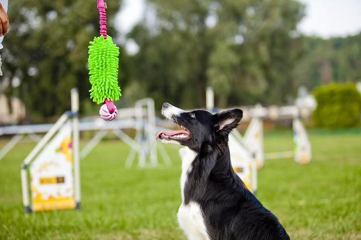 Dingo Mop Bungee Grün Mikrofaser mit Vanille Duft Ball Hundespielzeug Agility Apporte zum Spielen Ta