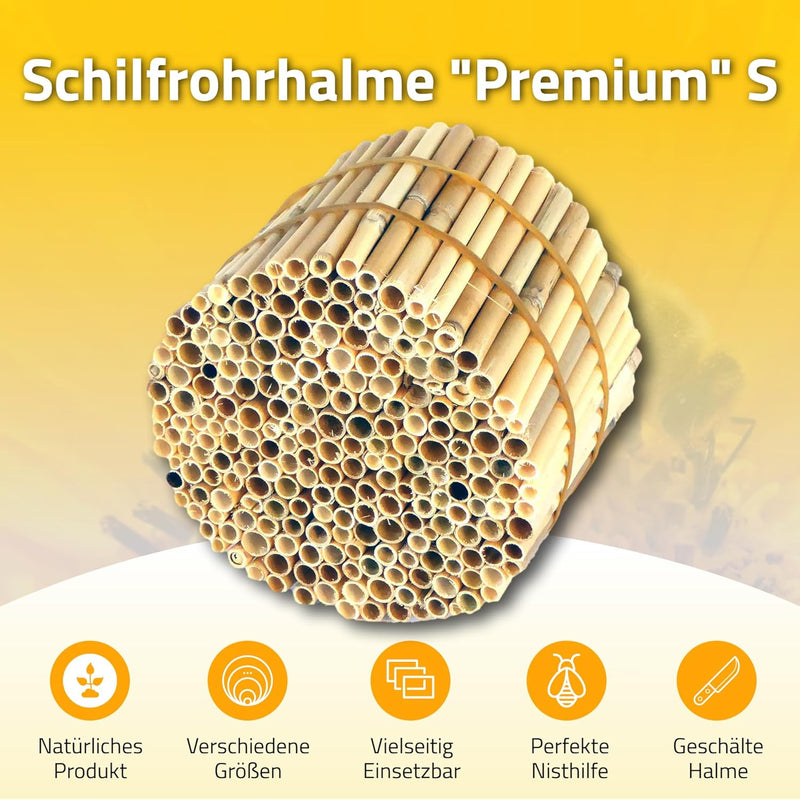 Hiss Reet BeeCasa by Schilfrohrhalme Premium | Geschälter Bund | Insektenhotel & Bienenhotel Füllmat
