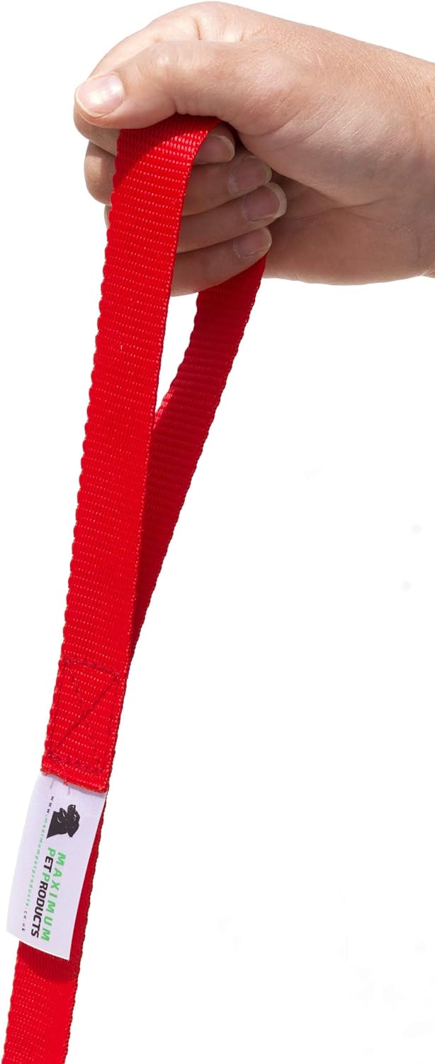15 m lange Leine für Hunde und Pferde 25 mm breit sehr stark 50ft/15m Rot, 50ft/15m Rot