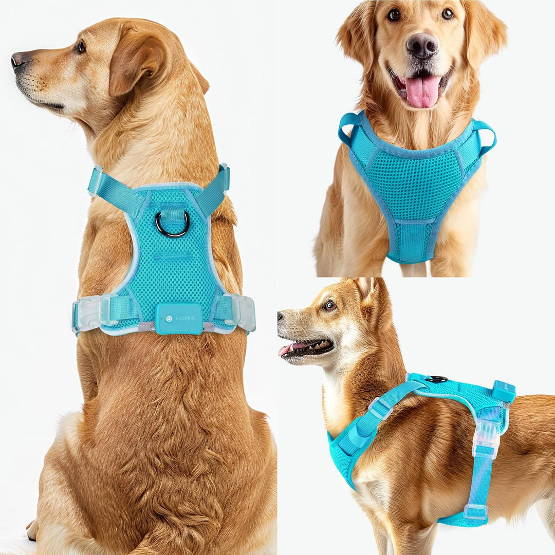 MASBRILL Hundegeschirr Leuchtend, LED Hundegeschirr Aufladbar &amp; Einstellbar für Welpen Kleiner Mittl
