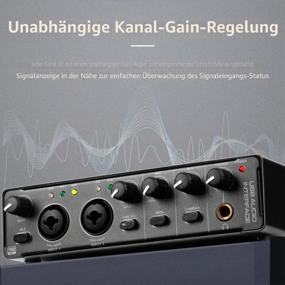 Depusheng RX2 USB Audio Interface Computer Aufnahme Soundkarte Audio Mixer Audio Interface für Home