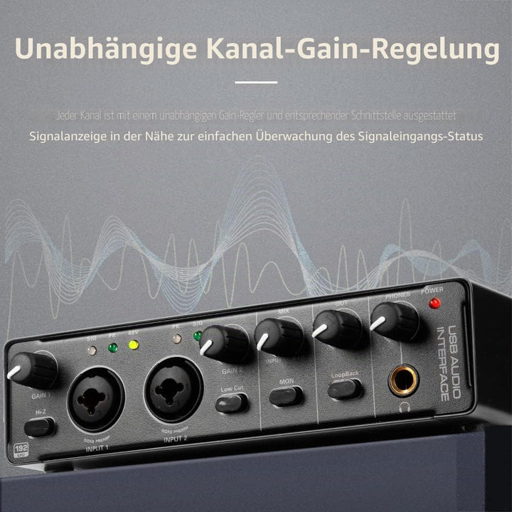 Depusheng RX2 USB Audio Interface Computer Aufnahme Soundkarte Audio Mixer Audio Interface für Home