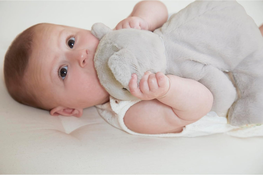 KALOO – Plüschtier Koala mit Gewicht – Beruhigender Begleiter für Babys, ultraweich, Sicherheit und